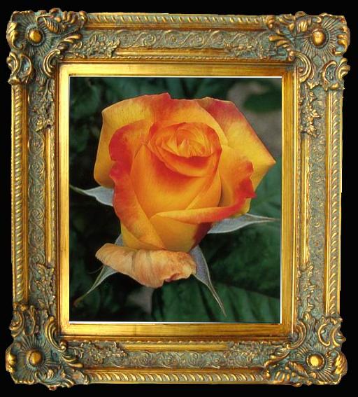 framed  unknow artist Still life floral, all kinds of reality flowers oil painting  156, Ta012-2
